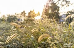 望城做網站的教程